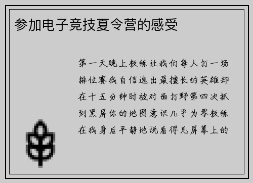 参加电子竞技夏令营的感受