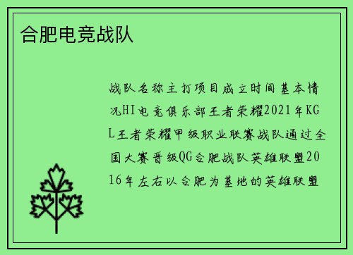 合肥电竞战队